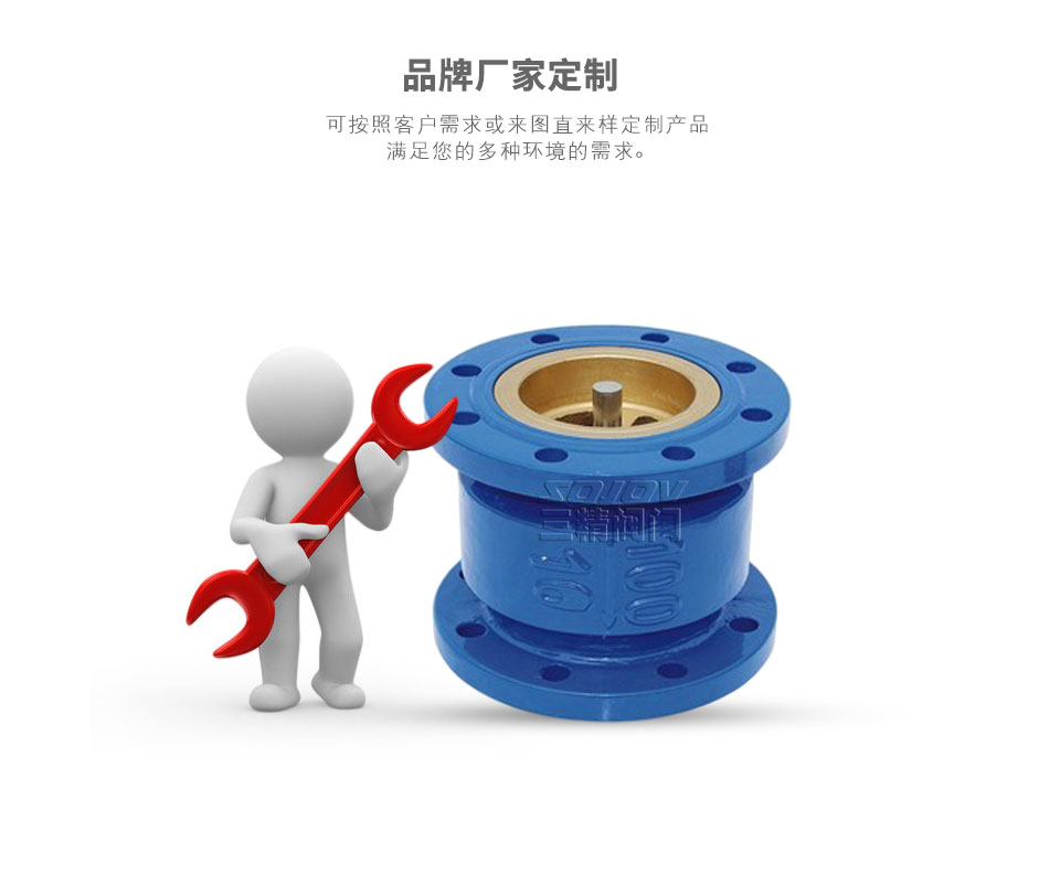 消聲止回閥,鐵殼銅芯止回閥可定制